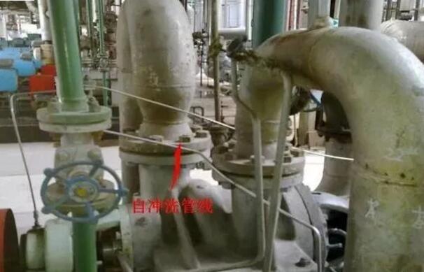 带有自冲洗装置的离心泵